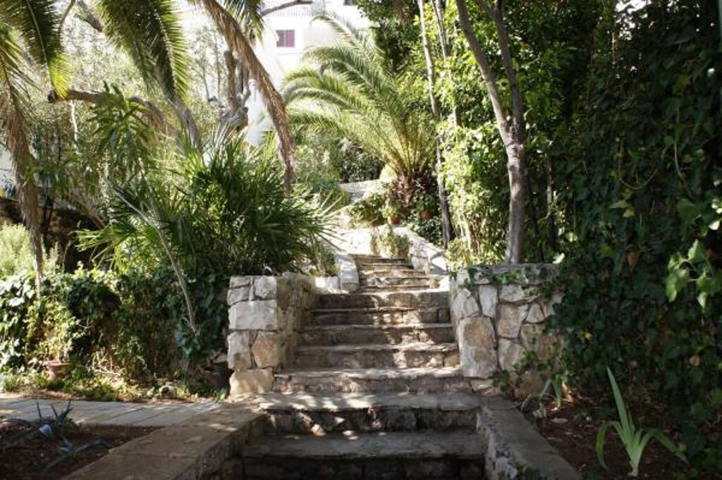 Image 3812674 - 6