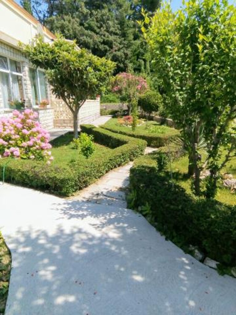 Image 3815052 - 1