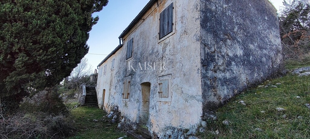 Image 12