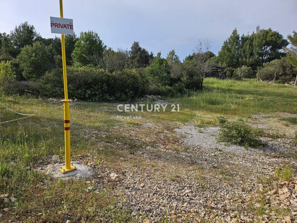 Image 13
