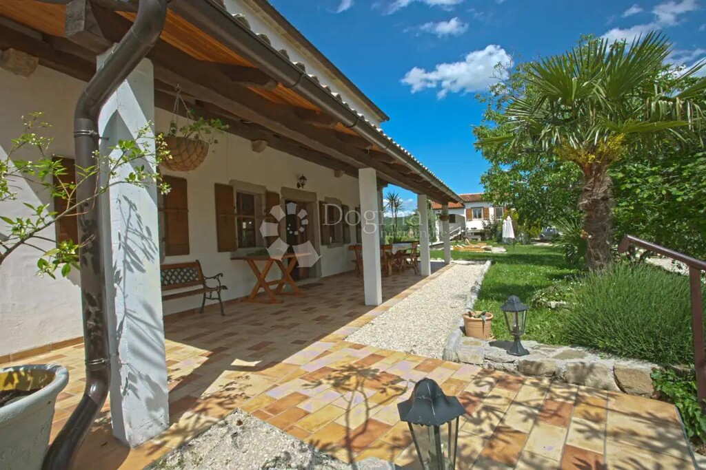 Image 11