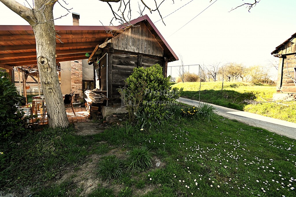 Image 21