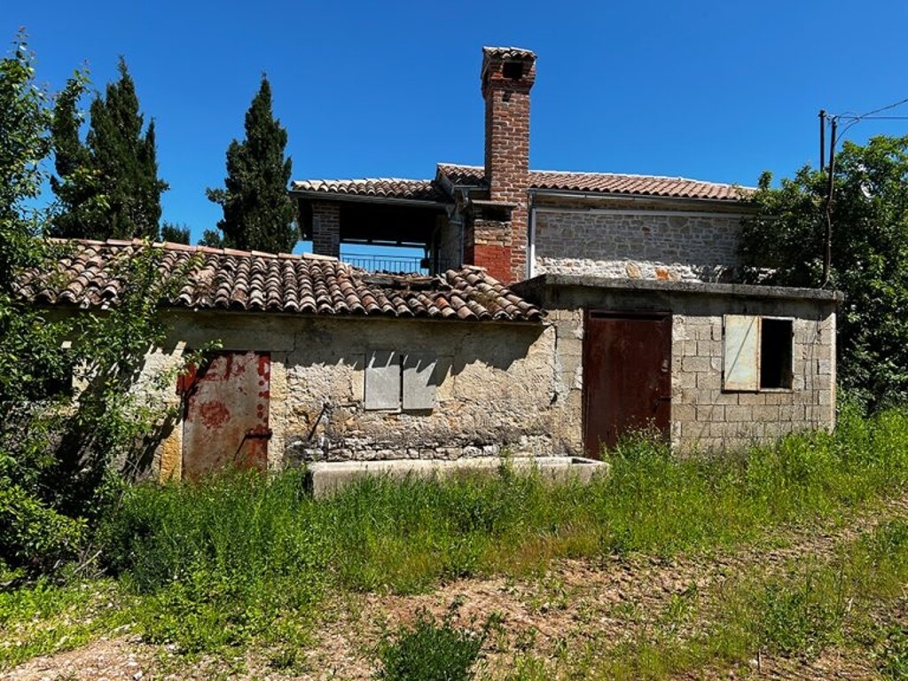 Image 8