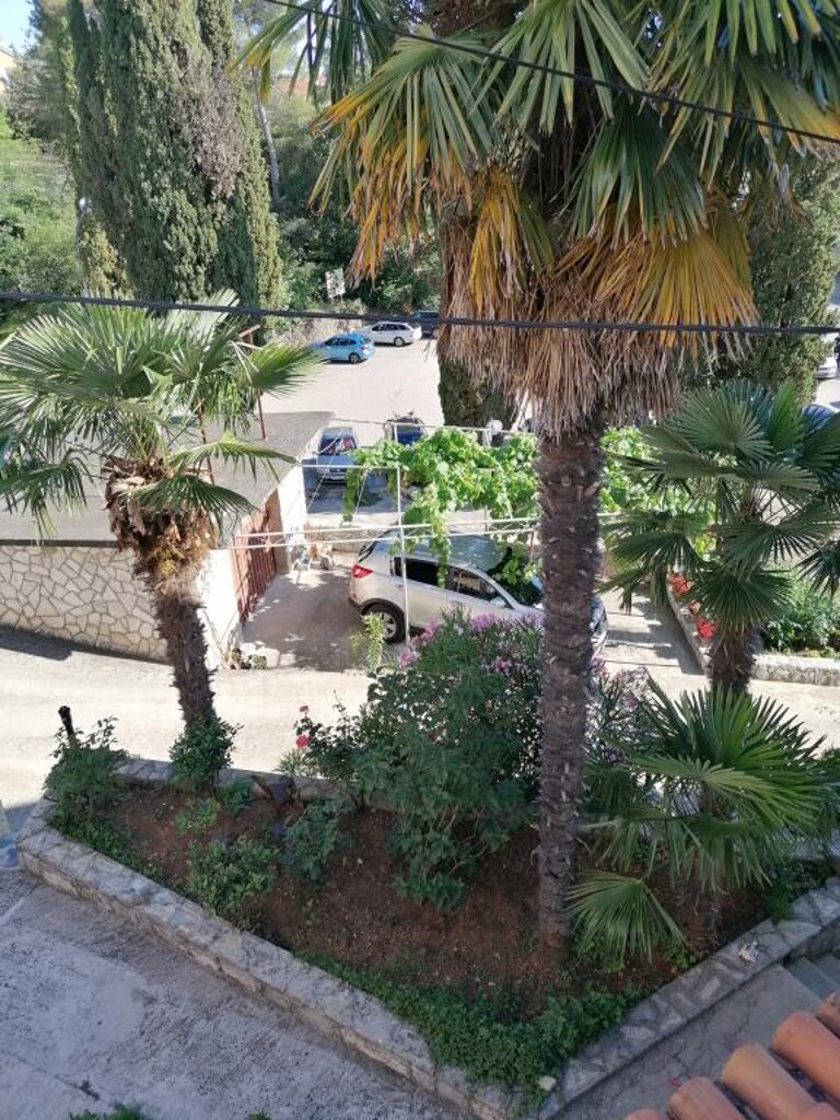 Image 3838689 - 6