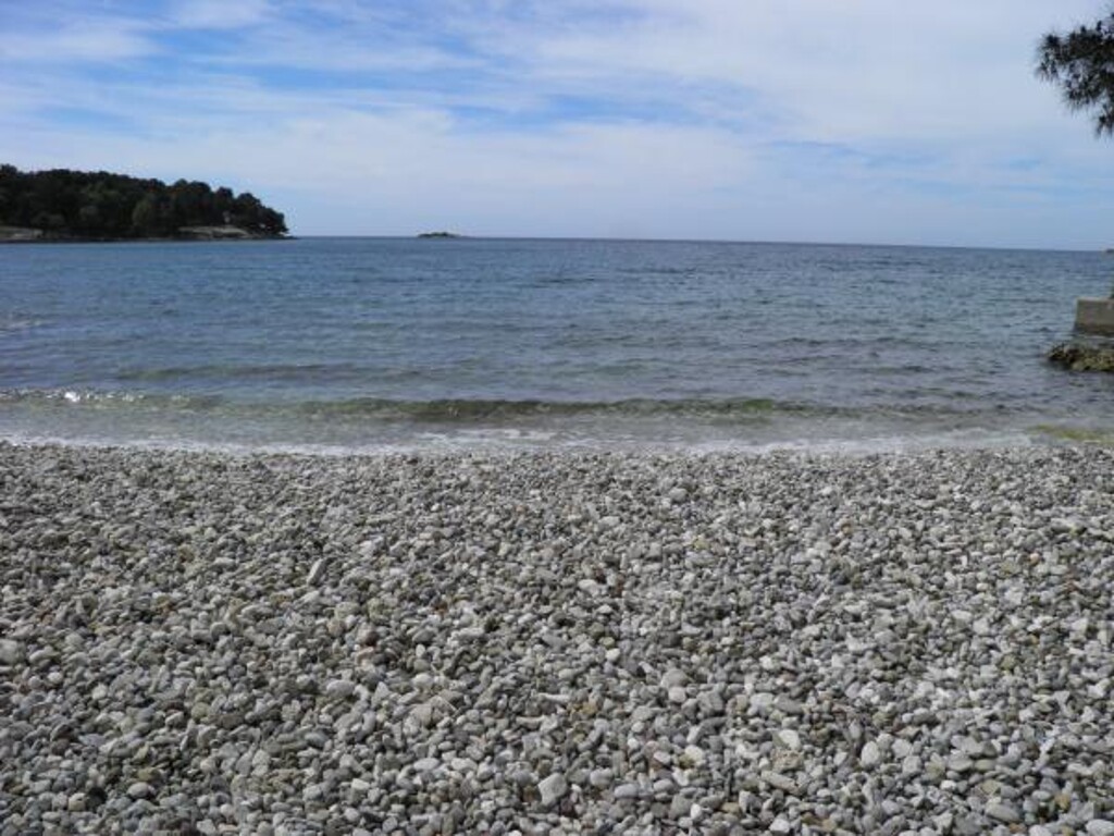 Image 3810936 - 4