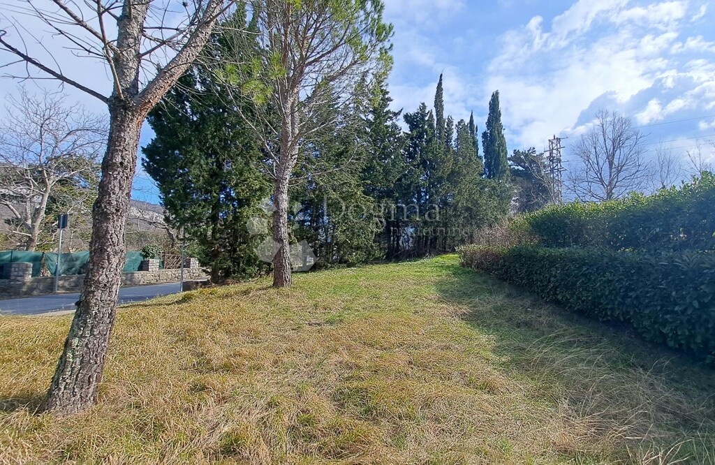 Image 22
