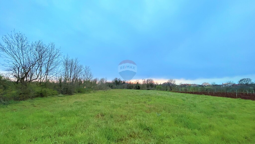 Image 5430109 - 6