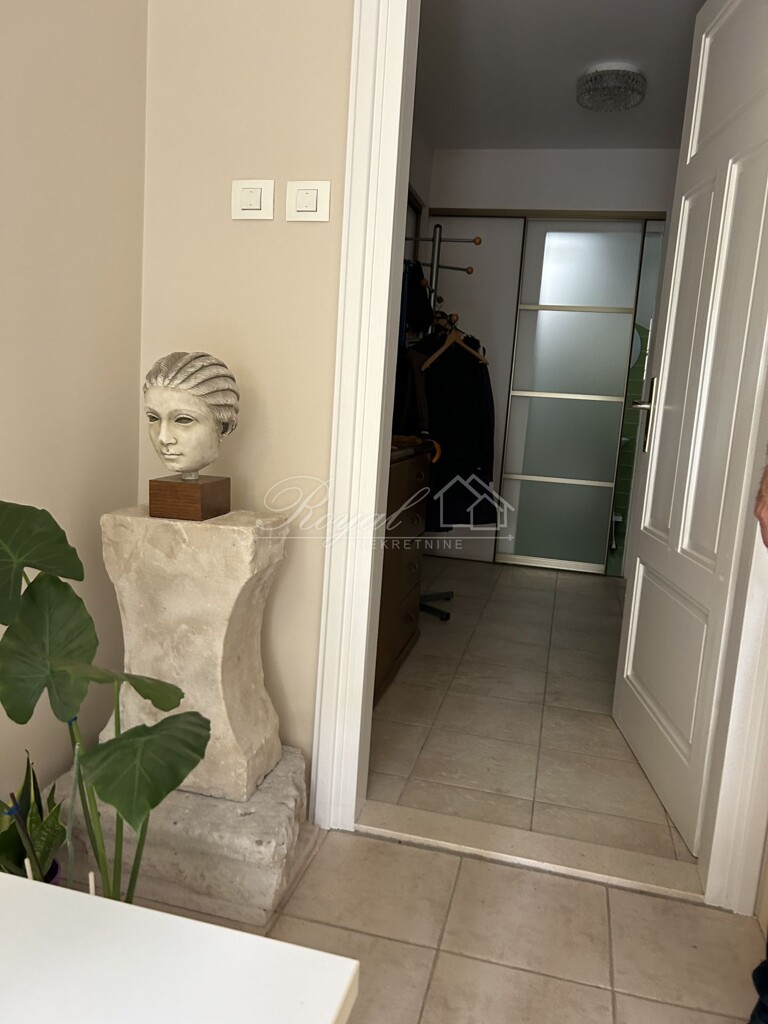 Image 19