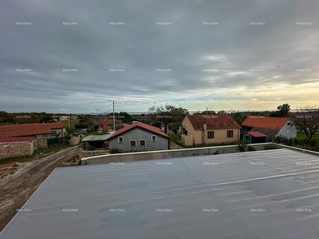 Image 9