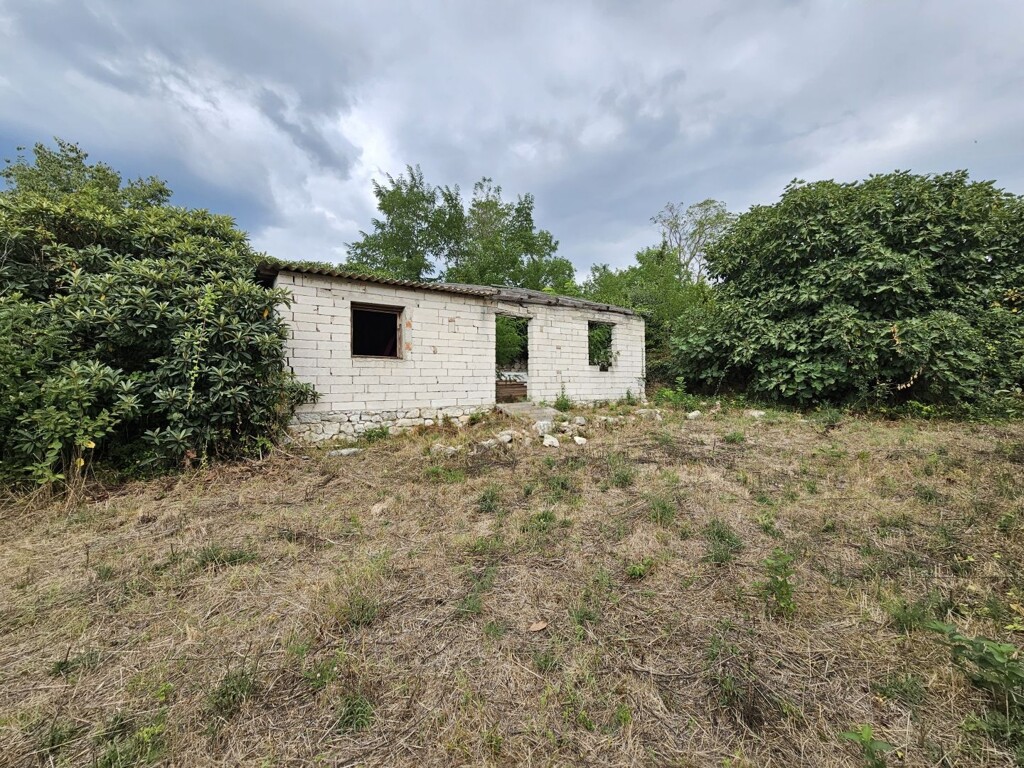 Image 6