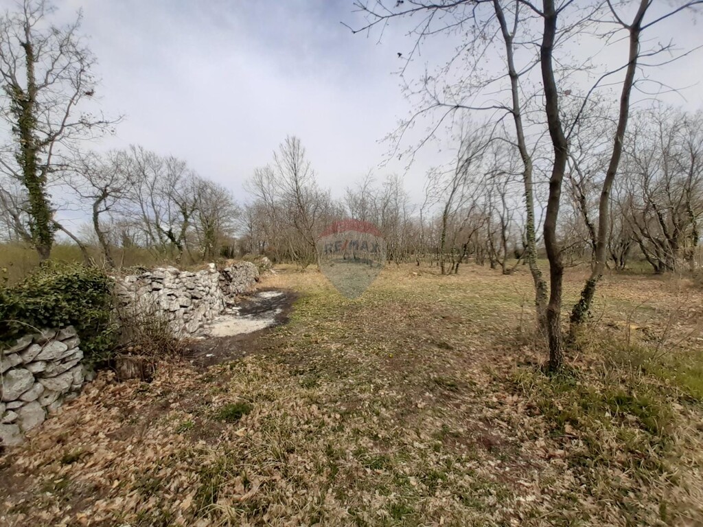 Image 5429847 - 3