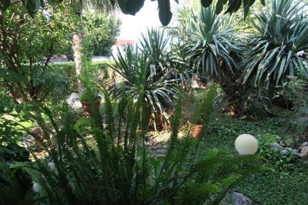 Image 3815289 - 6