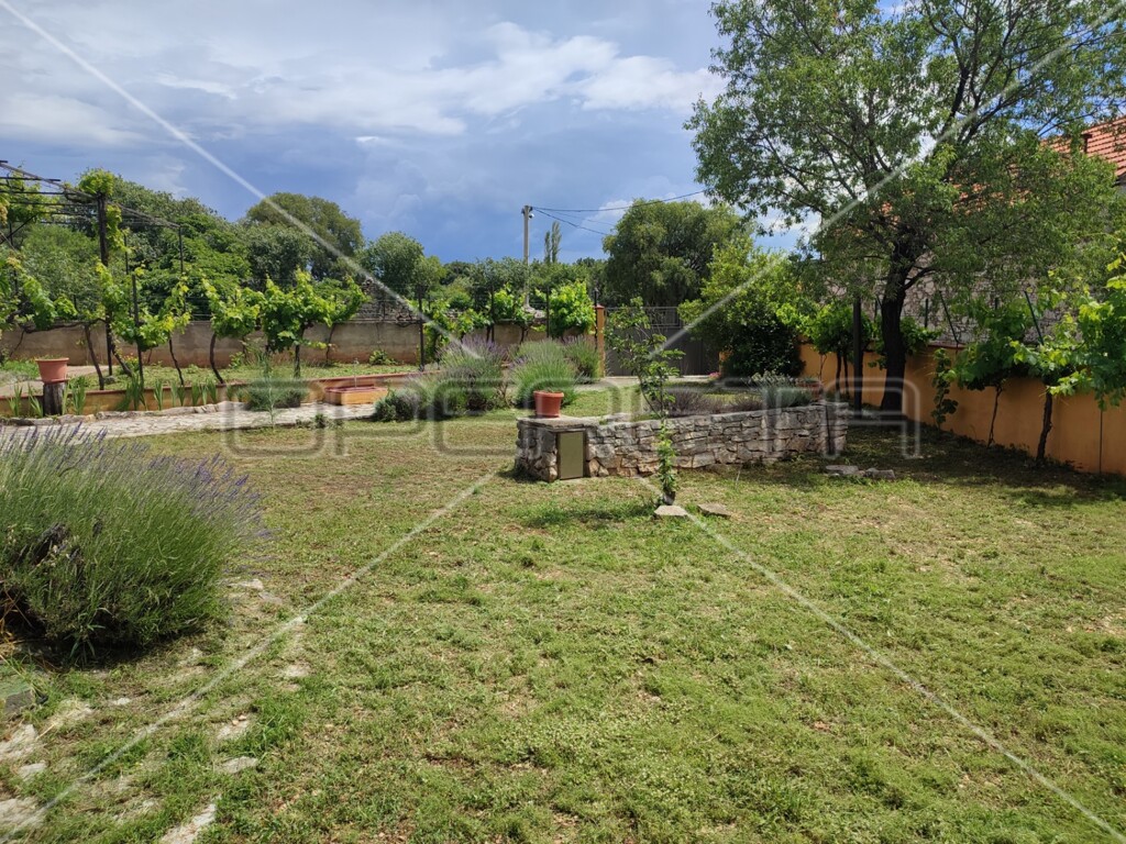Image 6159170 - 13