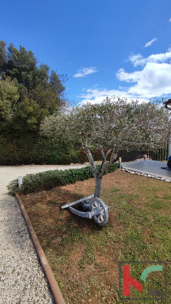Image 22