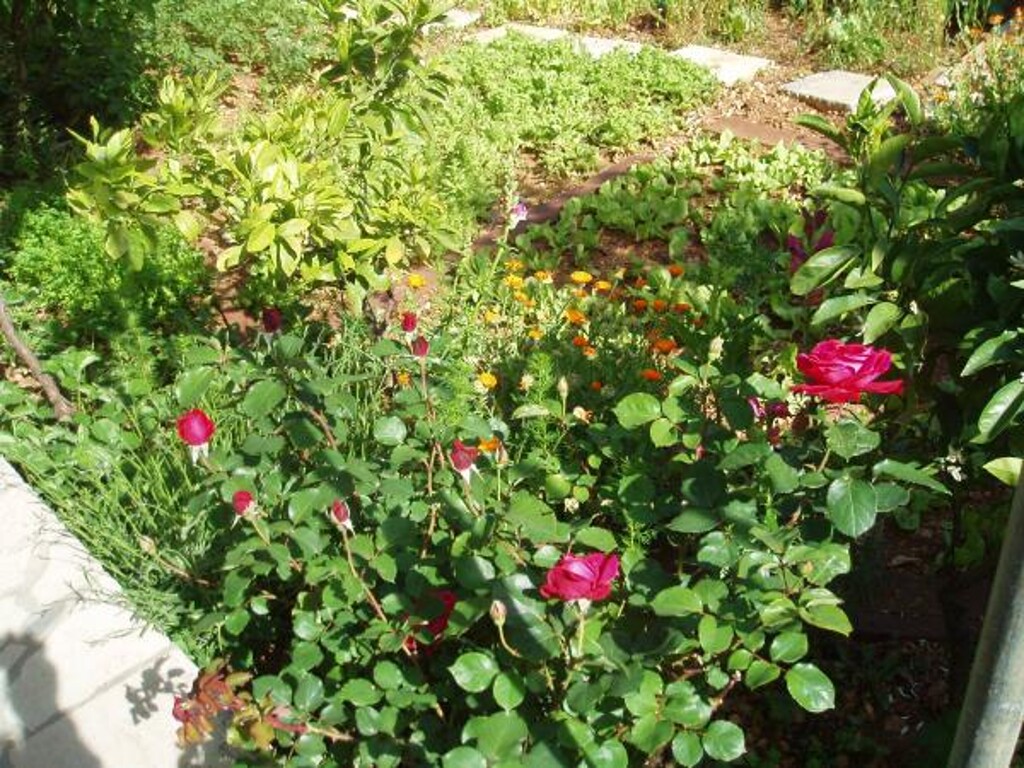 Image 3838458 - 13