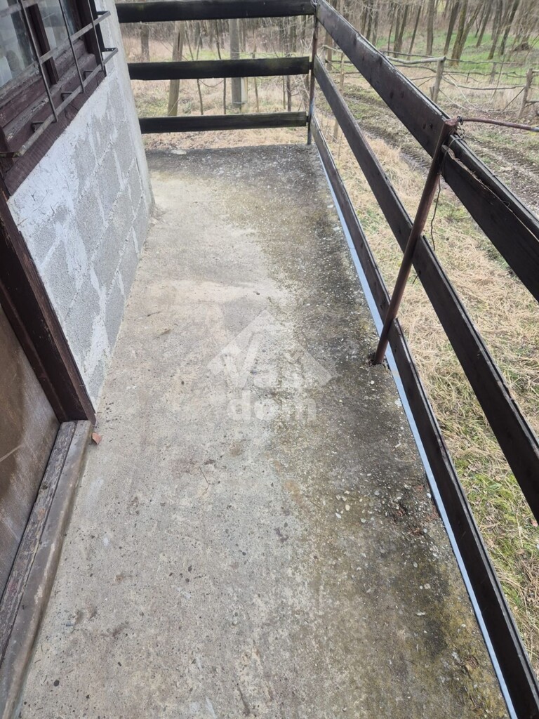 Image 12