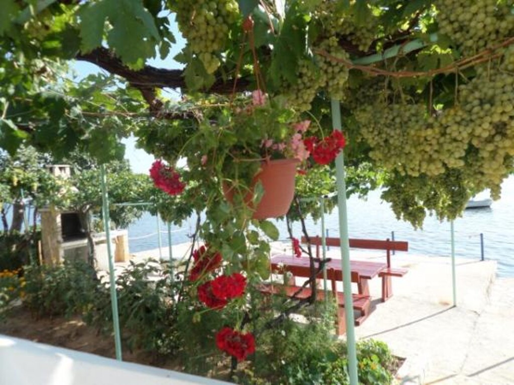 Image 3812719 - 11