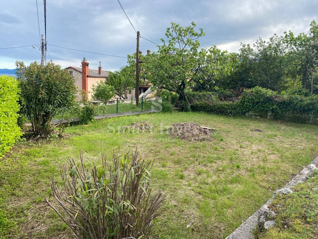 Image 14