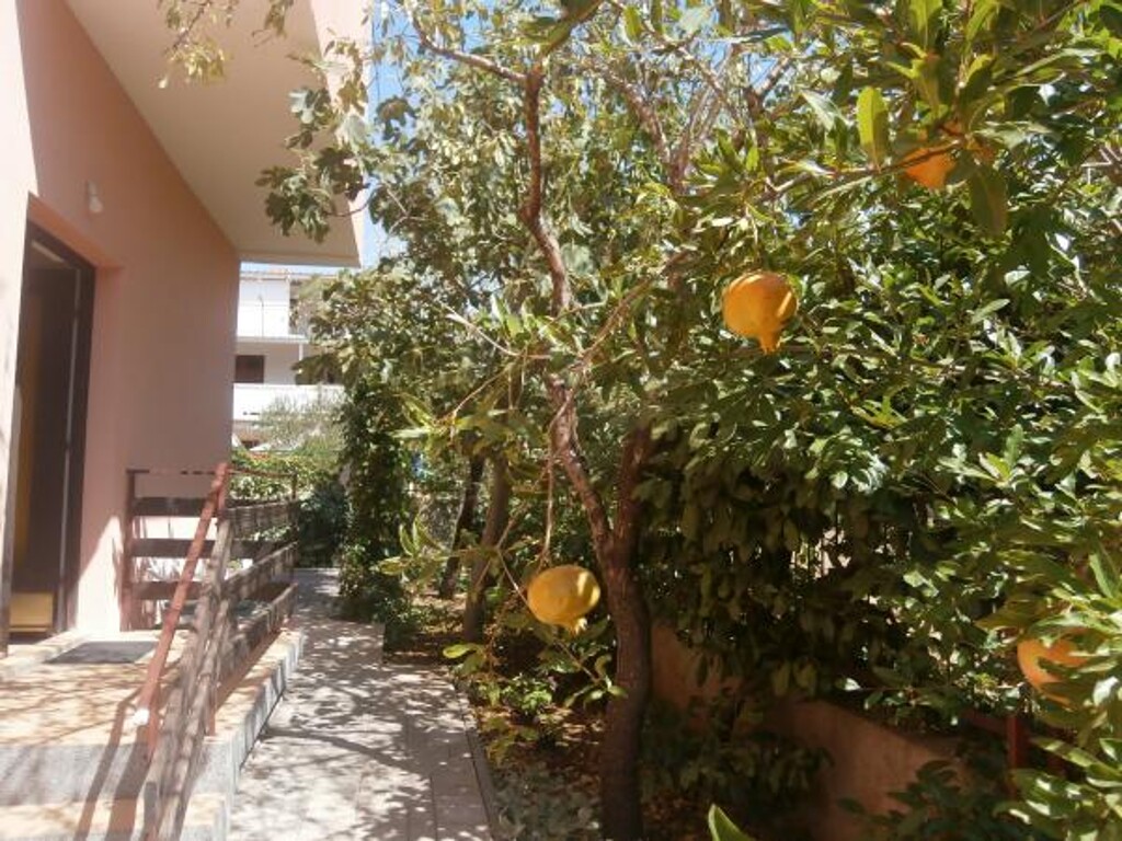 Image 3813420 - 4