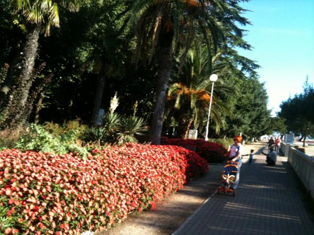 Image 3823102 - 13