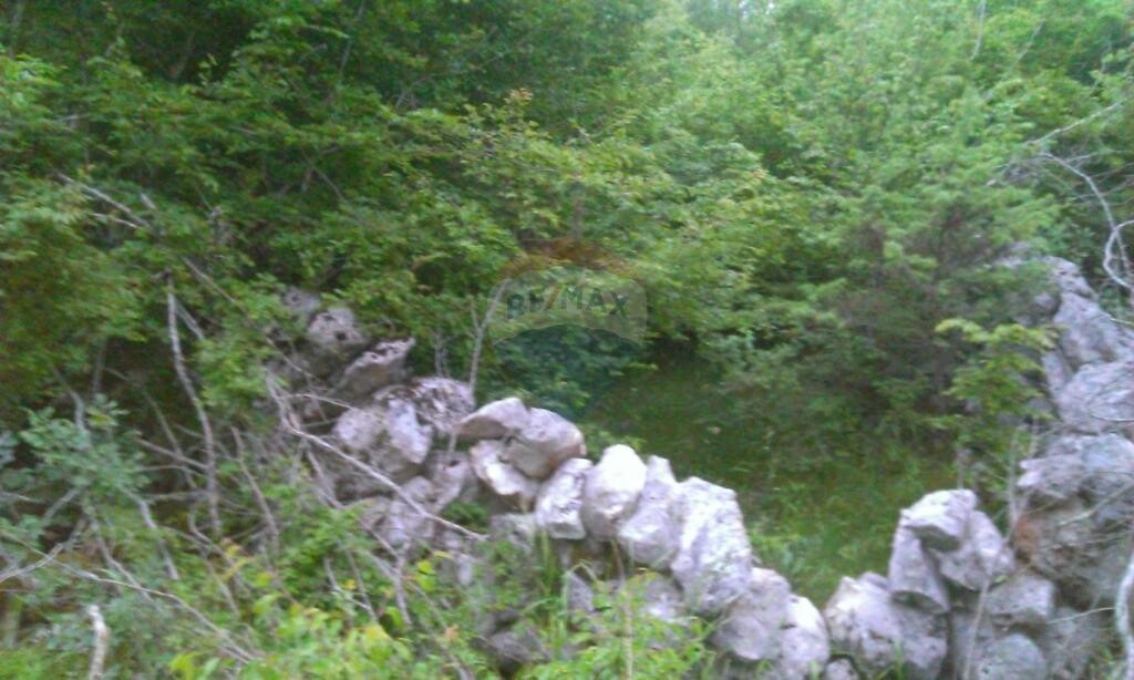 Image 5410865 - 2