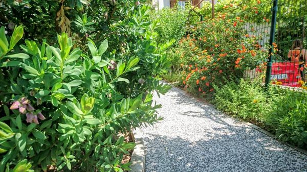 Image 3812039 - 6