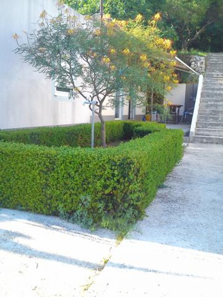 Image 3811666 - 15