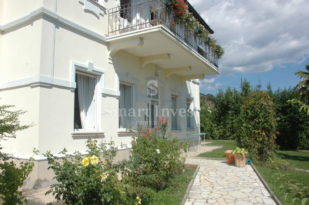 Image 13