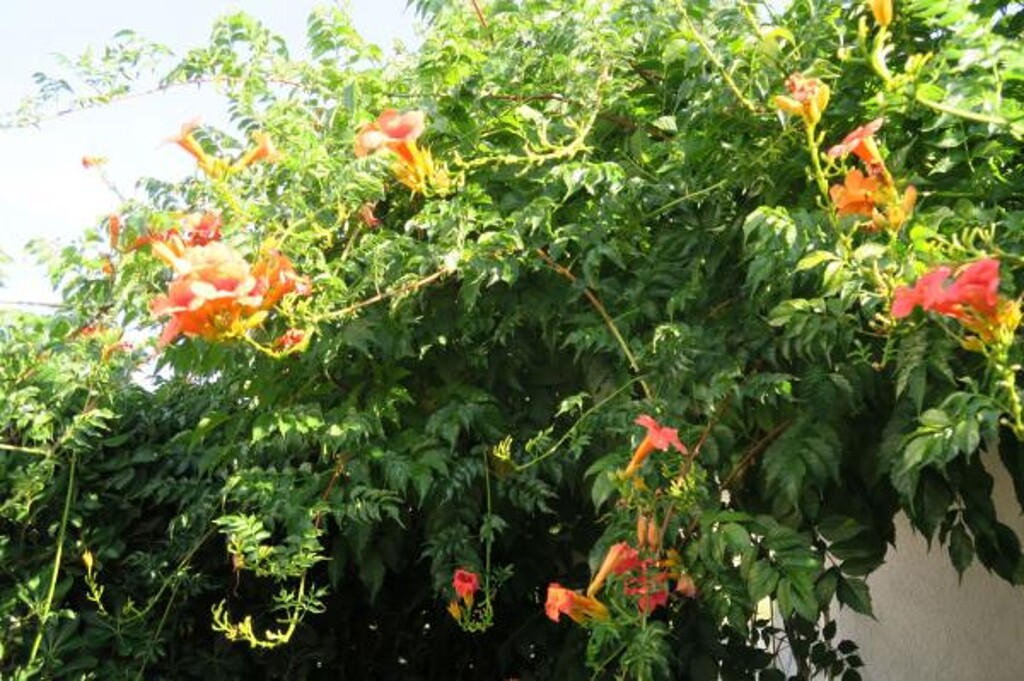 Image 3815289 - 5