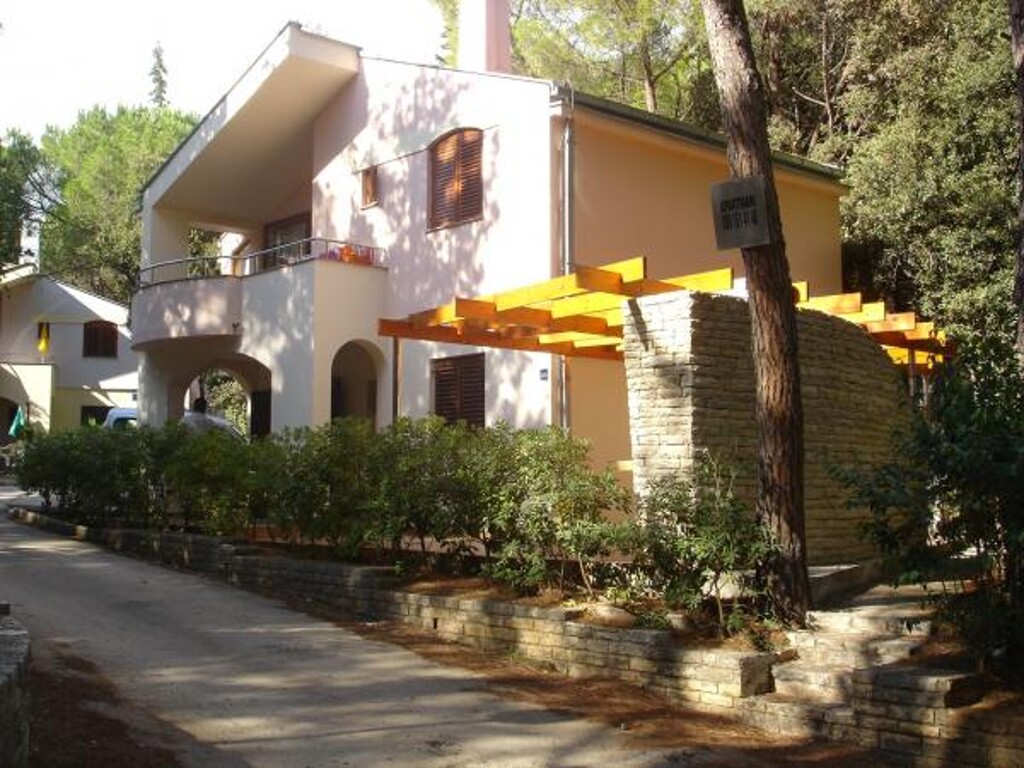 Image 3838495 - 1