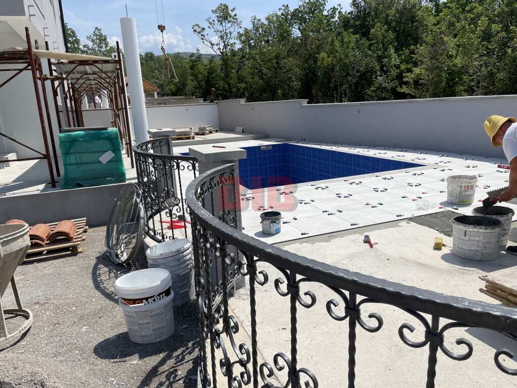 Image 12