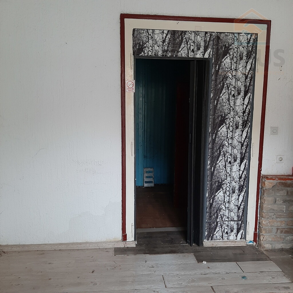 Image 13
