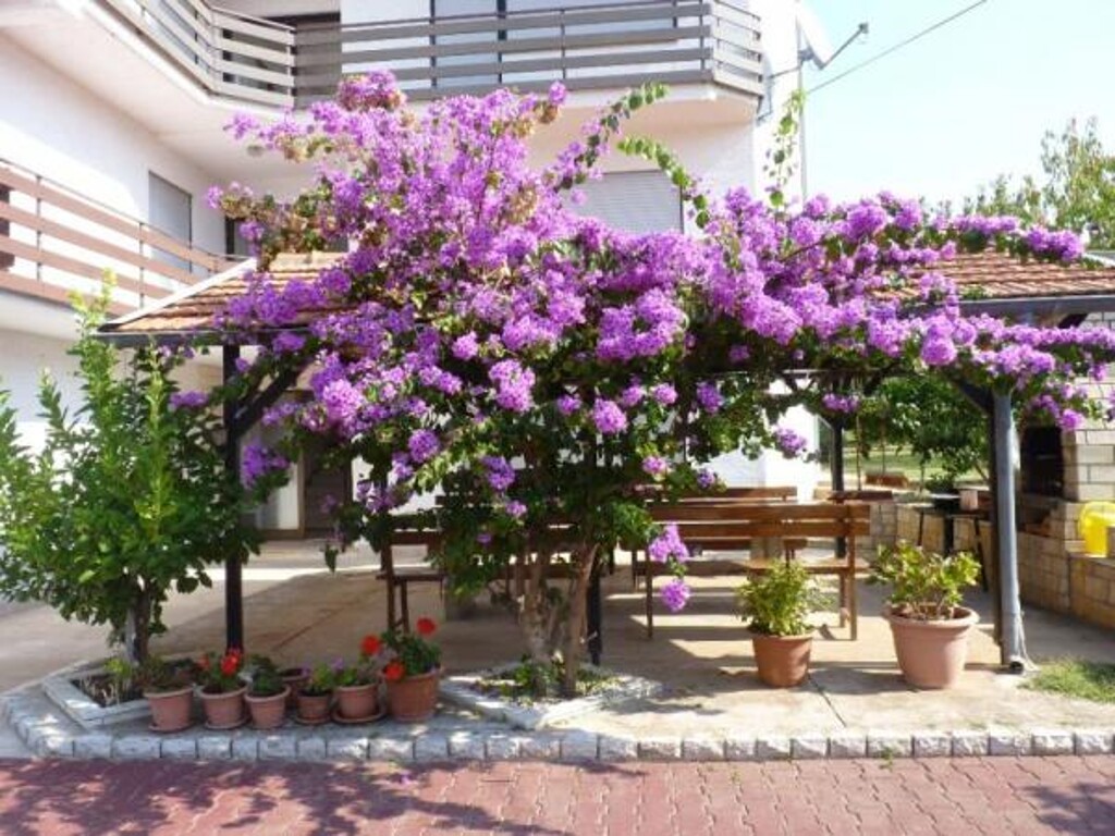 Image 3812203 - 2
