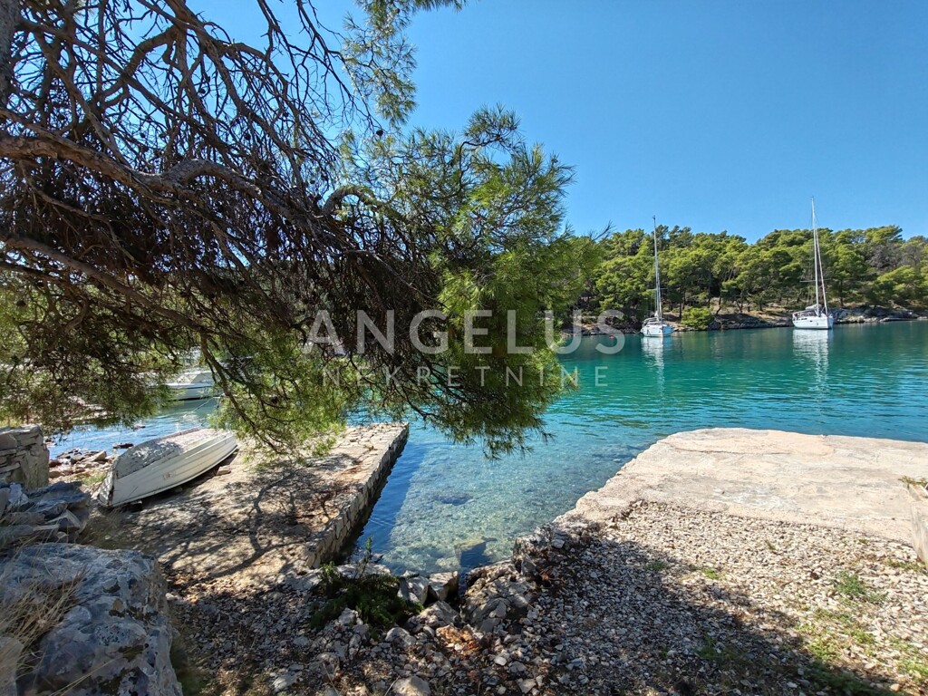 Image 11