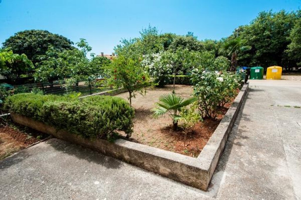 Image 3812220 - 10