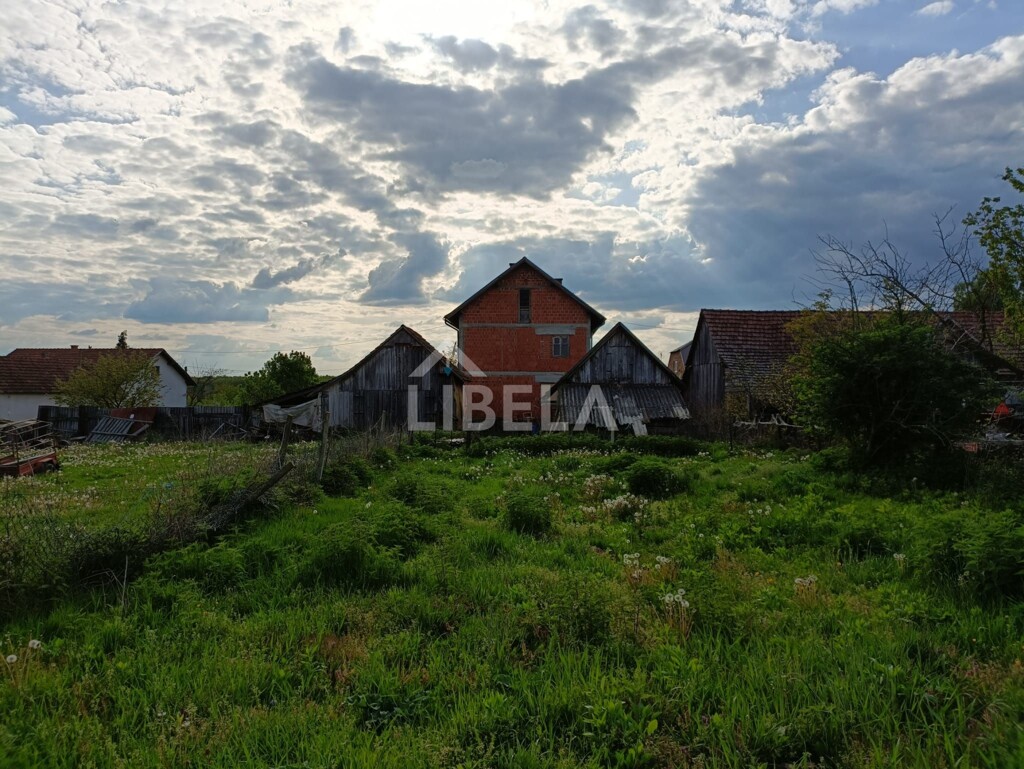 Image 16