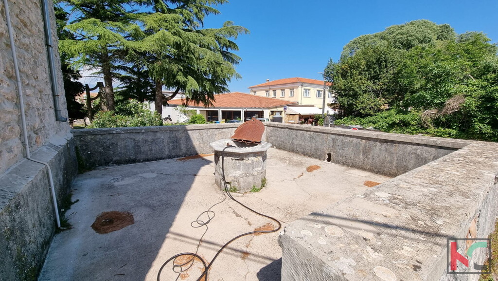 Image 15
