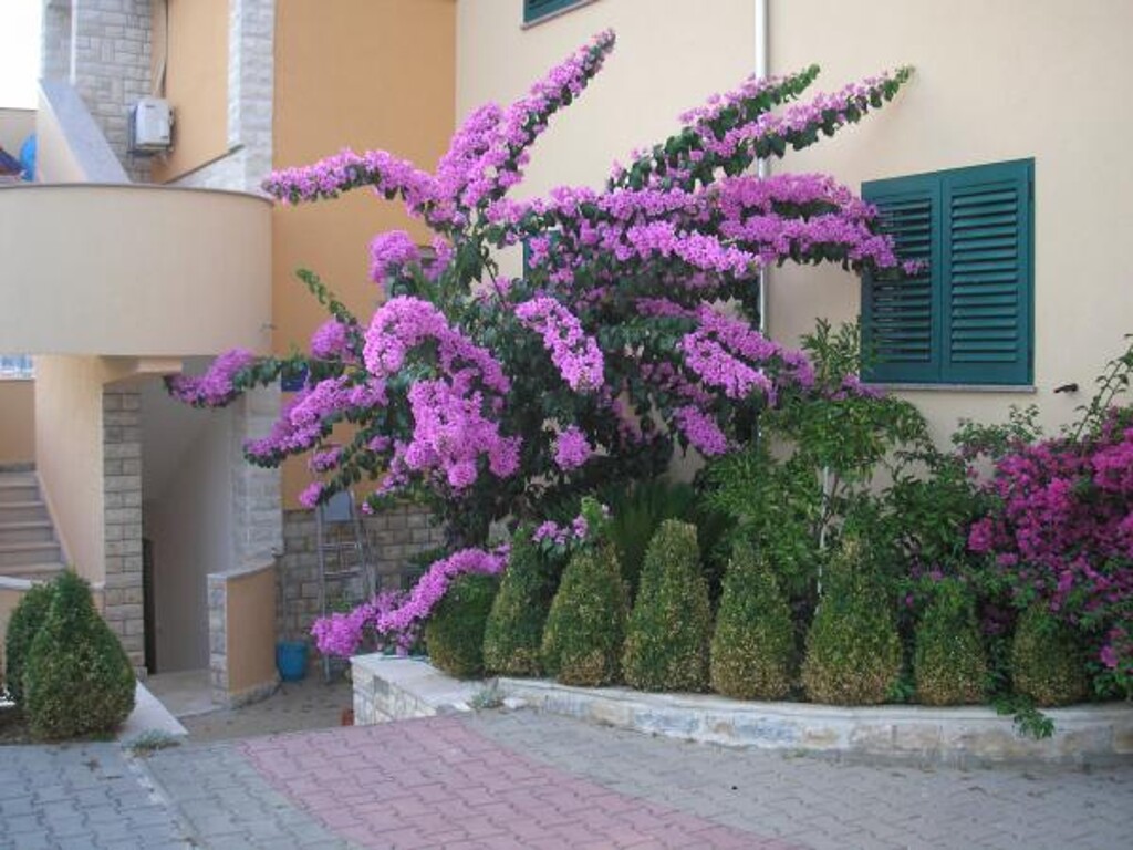 Image 3813760 - 9