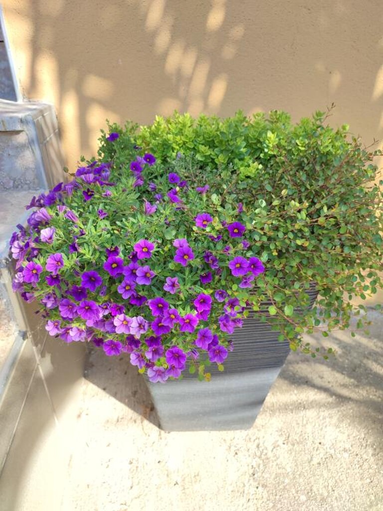 Image 14
