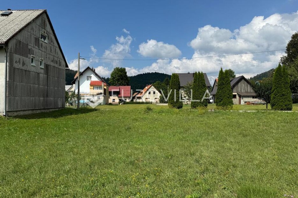 Image 14