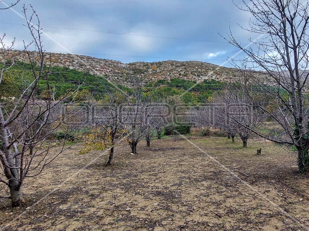 Image 14