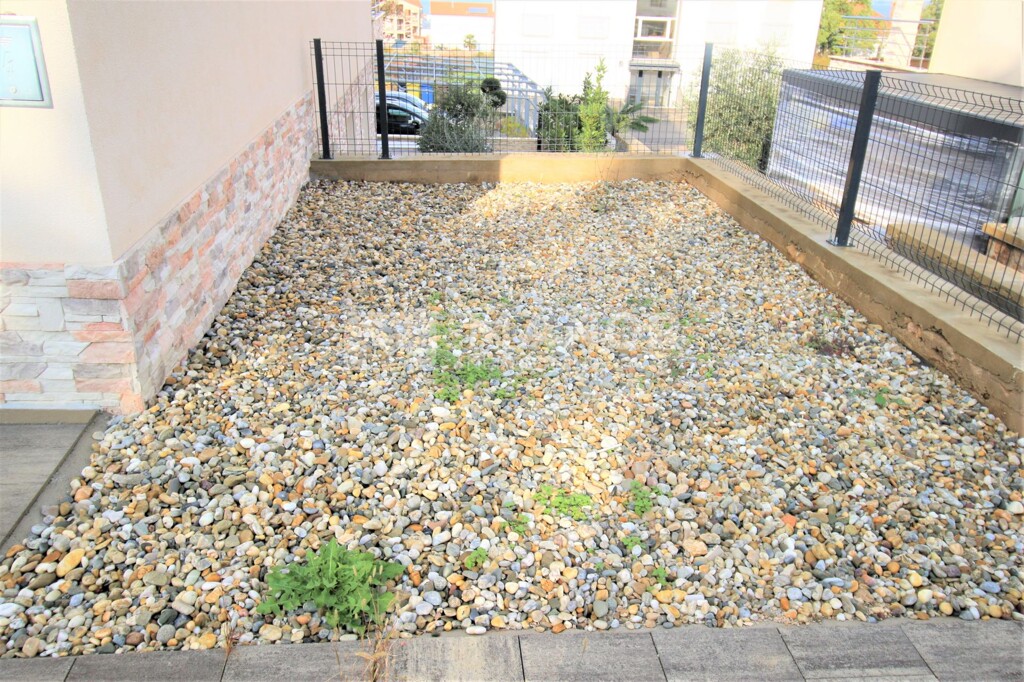 Image 19