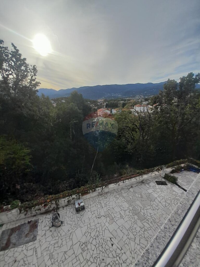 Image 5429135 - 23