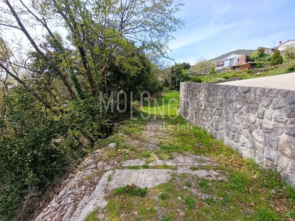 Image 14