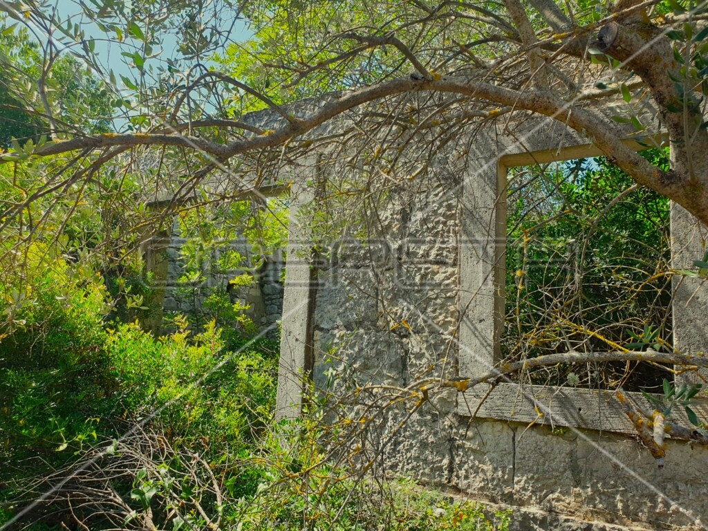 Image 6158224 - 3