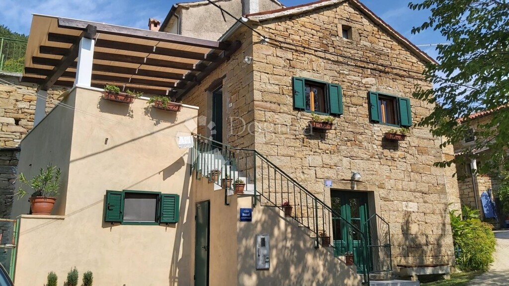 Image 12