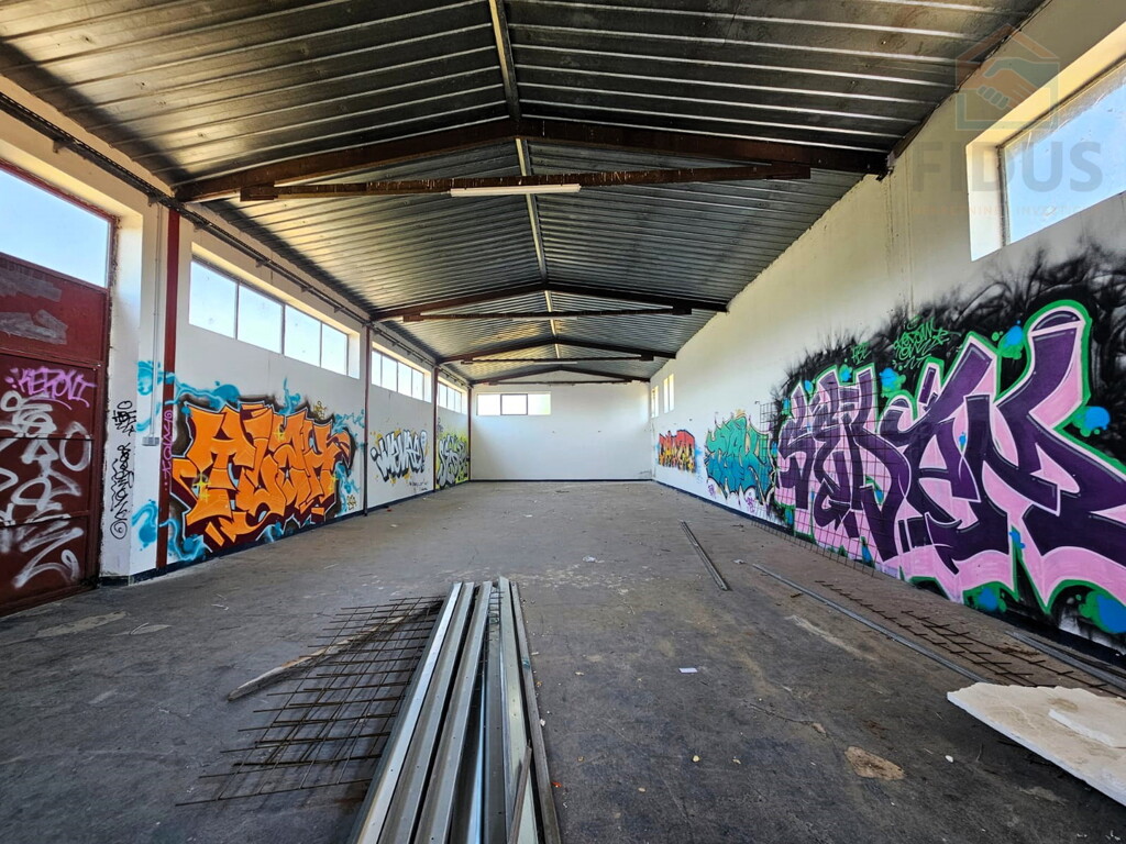 Image 13