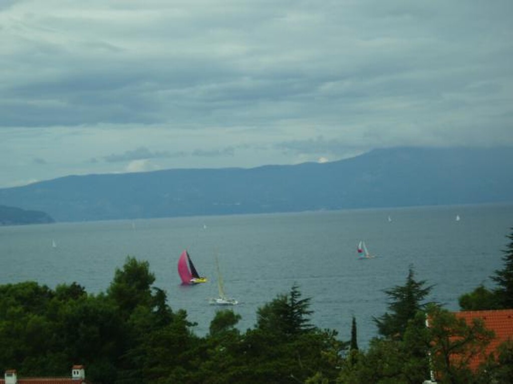 Image 3811923 - 8