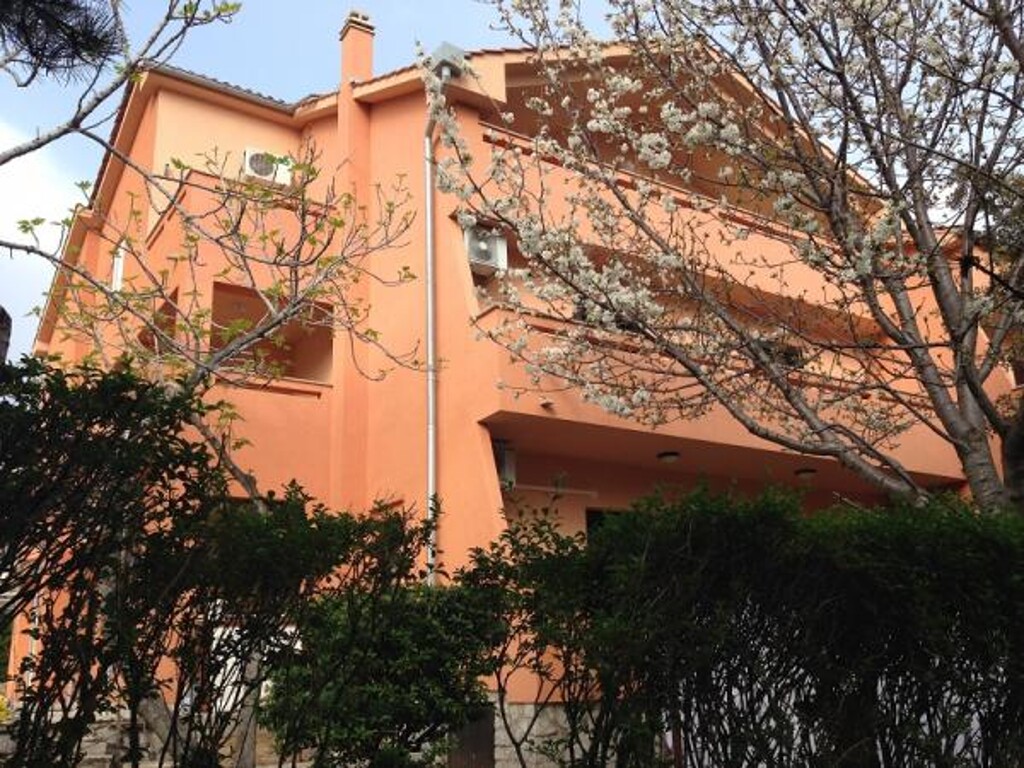 Image 3832250 - 3