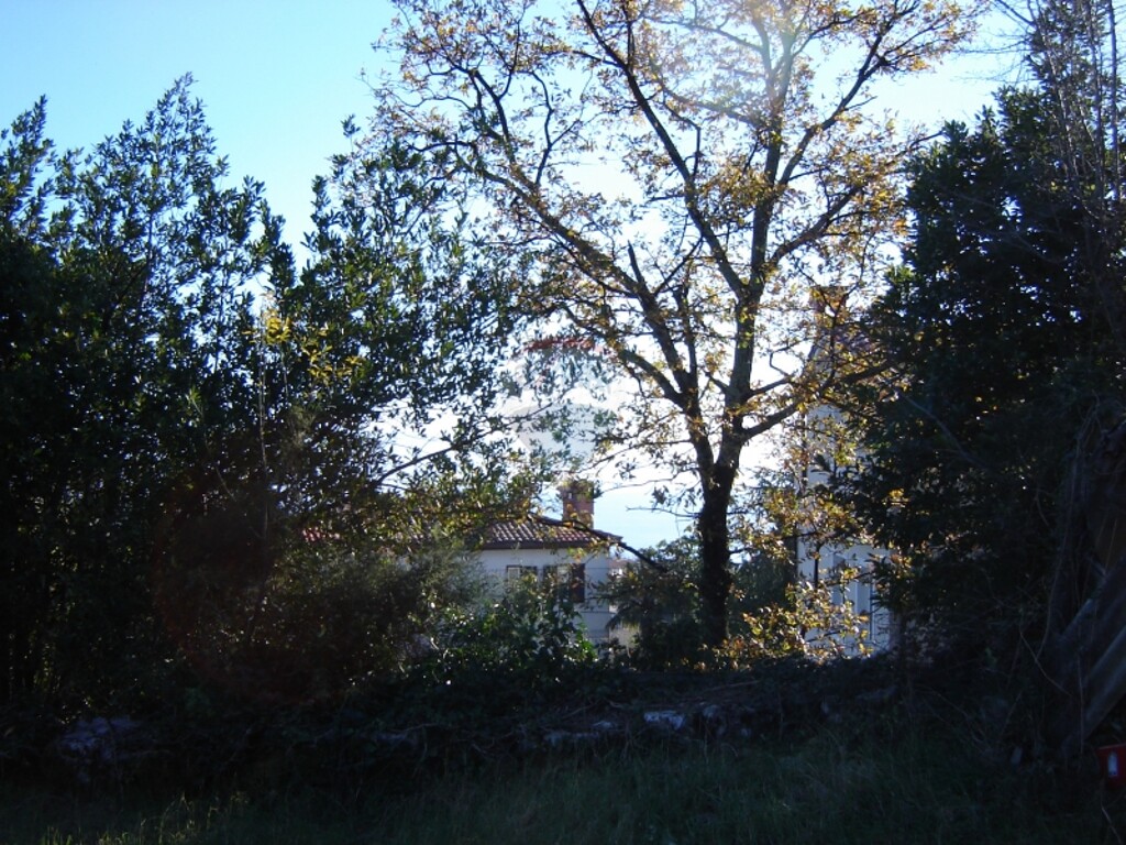 Image 5411200 - 5